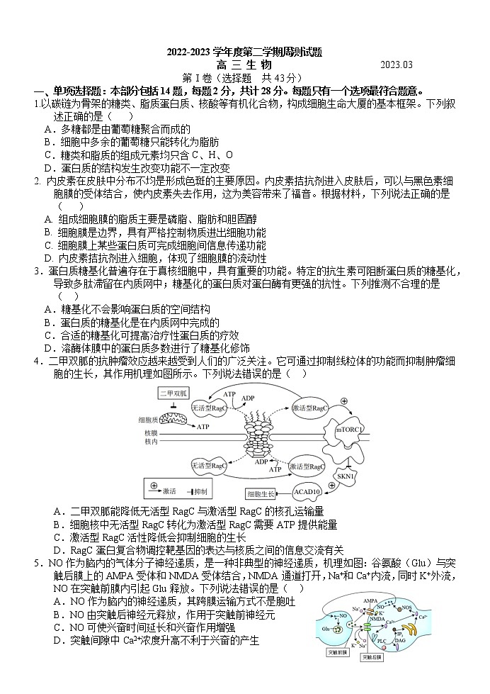 江苏省扬州中学2022-2023学年高三下学期3月月考生物试题第1页