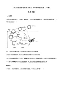 2023届山东省济南市高三下学期学情检测（一模）生物试题含解析