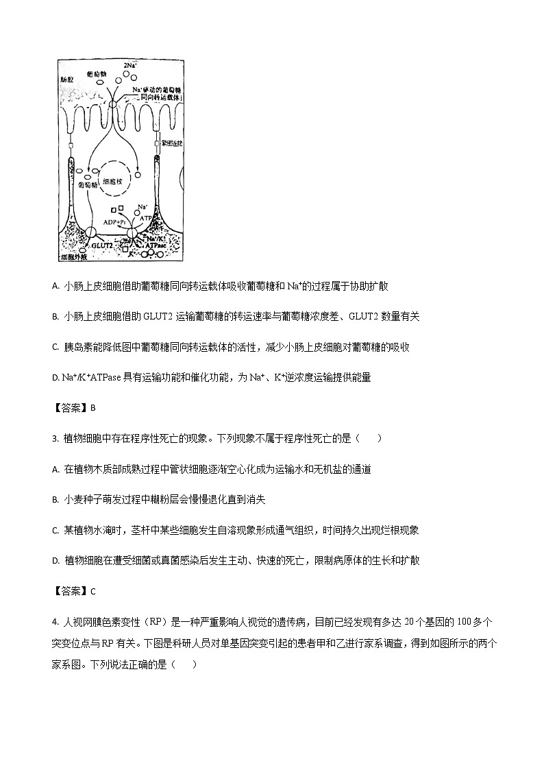 2023届山东省济南市高三下学期学情检测（一模）生物试题含解析02