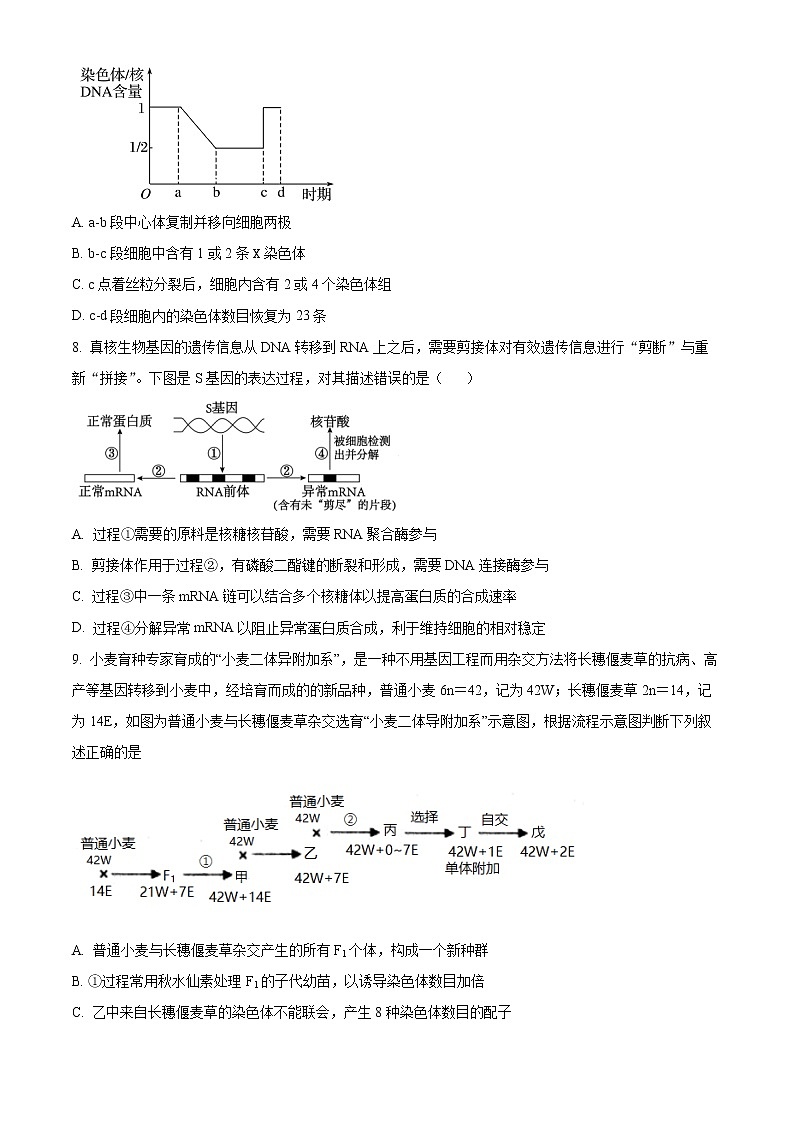 天津市南开中学2022-2023学年高三下学期第四次月考生物试题第3页
