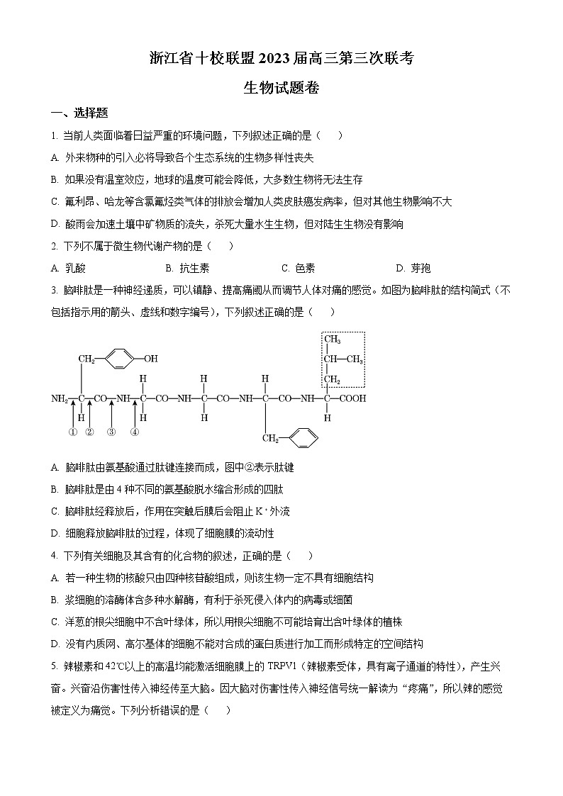 2023浙江省十校联盟高三下学期2月第三次联考试题生物含解析01