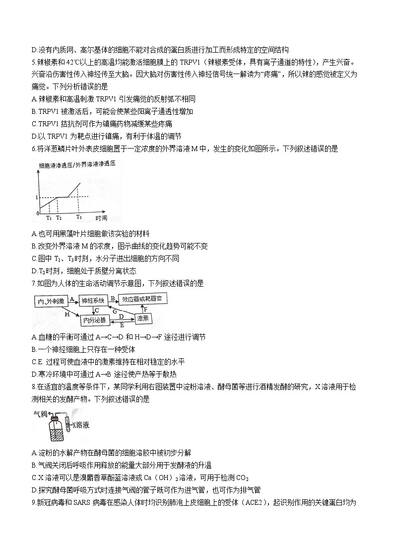 2023浙江省十校联盟高三下学期第三次联考试题生物含答案02