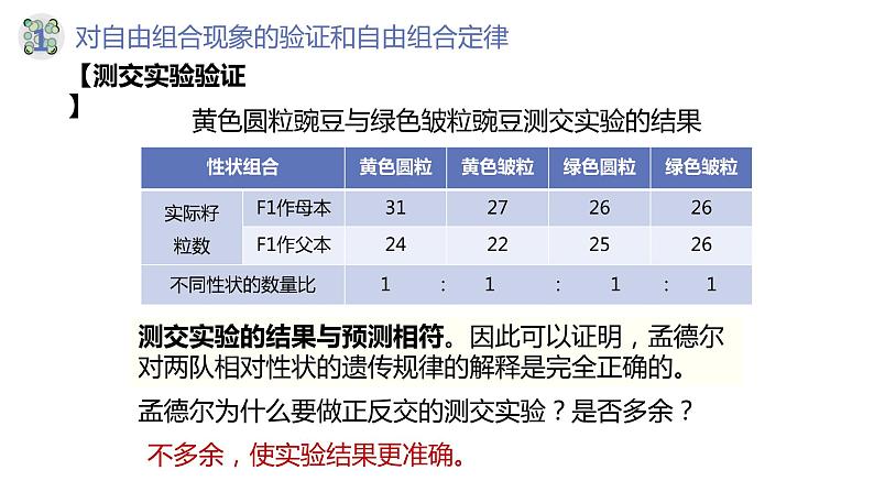 1.2 孟德尔的豌豆杂交实验（二）（第二课时）-【名校同步】2022-2023学年高一生物教学同步课件（人教版2019必修2）第6页