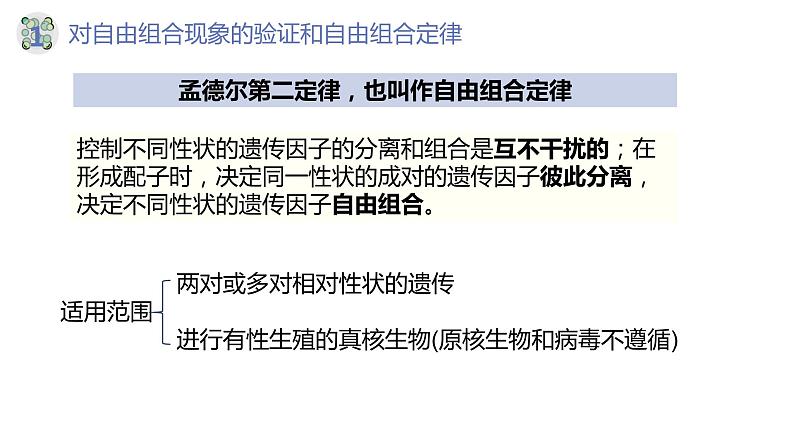 1.2 孟德尔的豌豆杂交实验（二）（第二课时）-【名校同步】2022-2023学年高一生物教学同步课件（人教版2019必修2）第7页