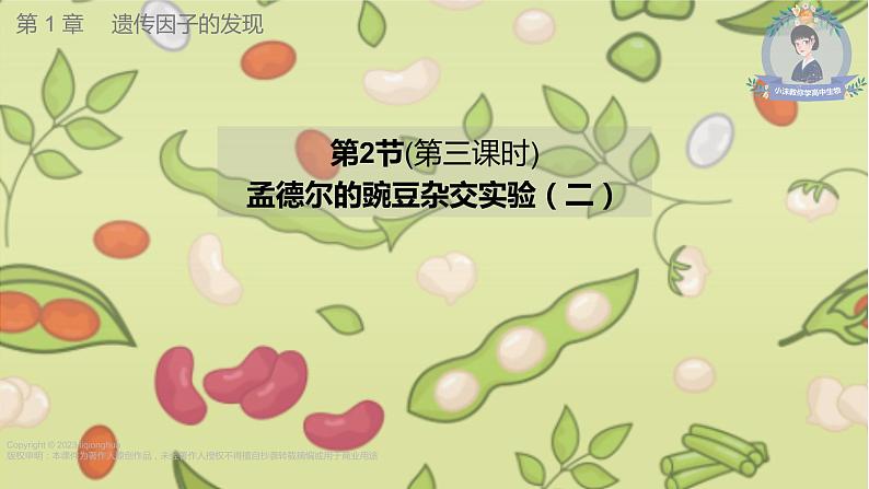 1.2 孟德尔的豌豆杂交实验（二）（第三课时）-【名校同步】2022-2023学年高一生物教学同步课件（人教版2019必修2）第1页