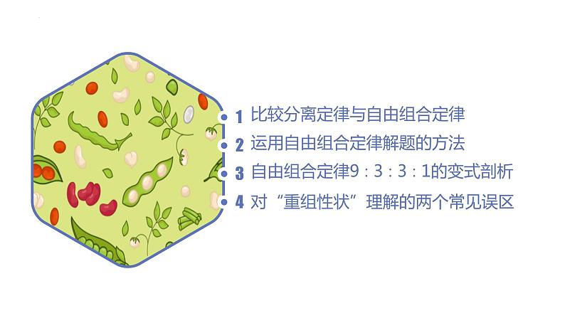 1.2 孟德尔的豌豆杂交实验（二）（第三课时）-【名校同步】2022-2023学年高一生物教学同步课件（人教版2019必修2）第2页