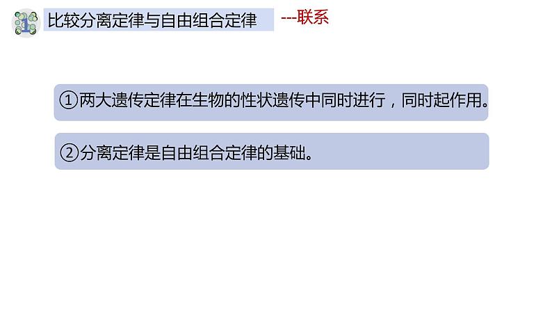 1.2 孟德尔的豌豆杂交实验（二）（第三课时）-【名校同步】2022-2023学年高一生物教学同步课件（人教版2019必修2）第4页