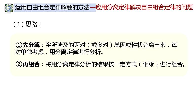 1.2 孟德尔的豌豆杂交实验（二）（第三课时）-【名校同步】2022-2023学年高一生物教学同步课件（人教版2019必修2）第5页