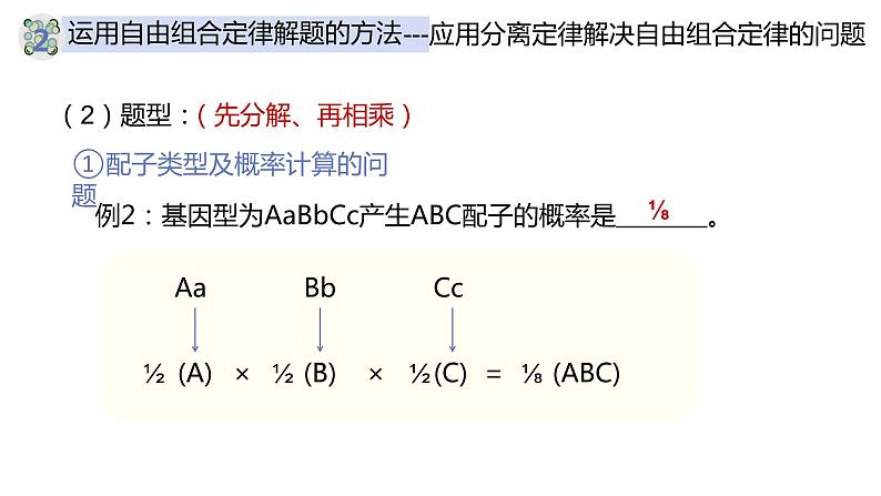 1.2 孟德尔的豌豆杂交实验（二）（第三课时）-【名校同步】2022-2023学年高一生物教学同步课件（人教版2019必修2）第7页