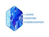 2.3 伴性遗传-【名校同步】2022-2023学年高一生物教学同步课件（人教版2019必修2）