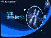 2.2 基因在染色体上-【名校同步】2022-2023学年高一生物教学同步课件（人教版2019必修2）