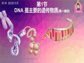 3.1 DNA是主要的遗传物质（第一课时）-【名校同步】2022-2023学年高一生物教学同步课件（人教版2019必修2）