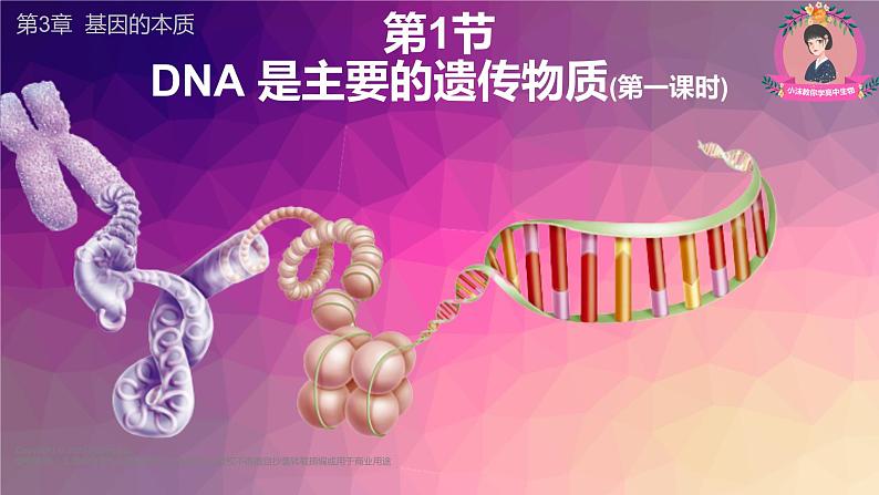 3.1 DNA是主要的遗传物质（第一课时）-【名校同步】2022-2023学年高一生物教学同步课件（人教版2019必修2）第1页