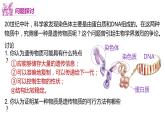 3.1 DNA是主要的遗传物质（第一课时）-【名校同步】2022-2023学年高一生物教学同步课件（人教版2019必修2）