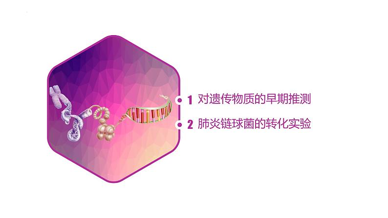 3.1 DNA是主要的遗传物质（第一课时）-【名校同步】2022-2023学年高一生物教学同步课件（人教版2019必修2）第3页