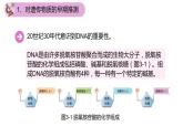 3.1 DNA是主要的遗传物质（第一课时）-【名校同步】2022-2023学年高一生物教学同步课件（人教版2019必修2）