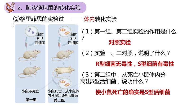 3.1 DNA是主要的遗传物质（第一课时）-【名校同步】2022-2023学年高一生物教学同步课件（人教版2019必修2）第7页