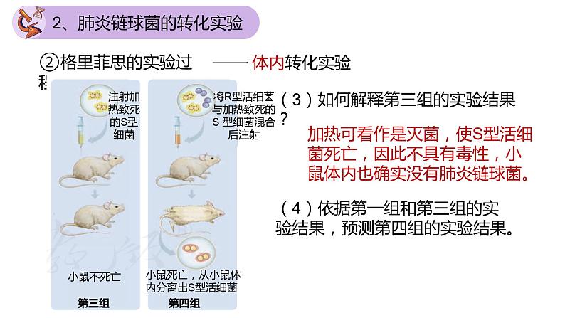 3.1 DNA是主要的遗传物质（第一课时）-【名校同步】2022-2023学年高一生物教学同步课件（人教版2019必修2）第8页