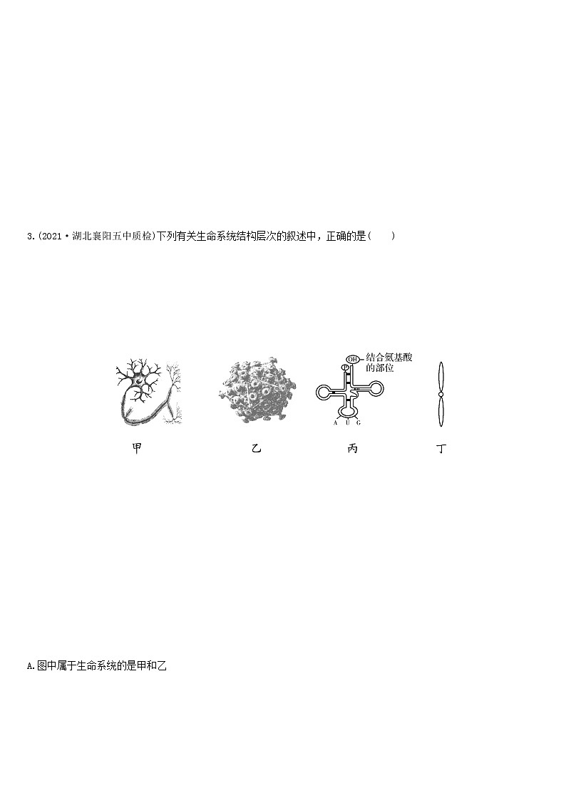 必刷01 细胞的基本组成(共33题)-【百题大过关】2023年高考生物总复习高频考点+常考题型必刷题（原卷版）第3页