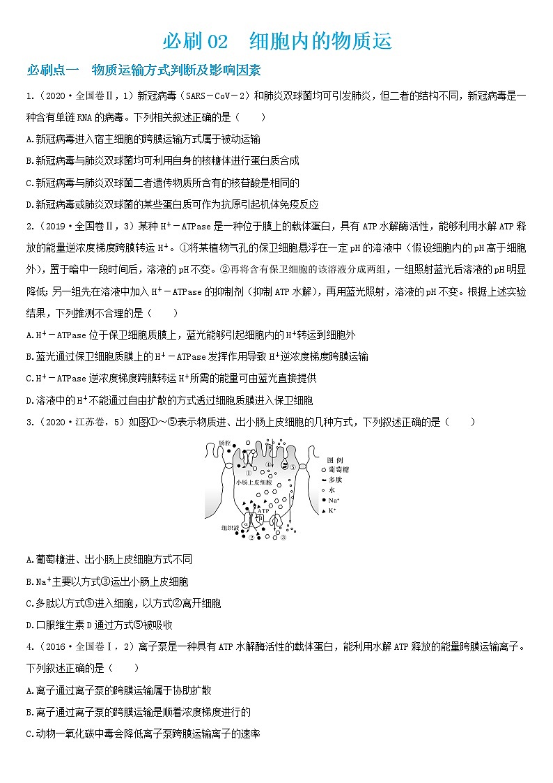 必刷02 细胞内的物质运输(共30题)-【百题大过关】2023年高考生物总复习高频考点+常考题型必刷题（原卷版）第1页
