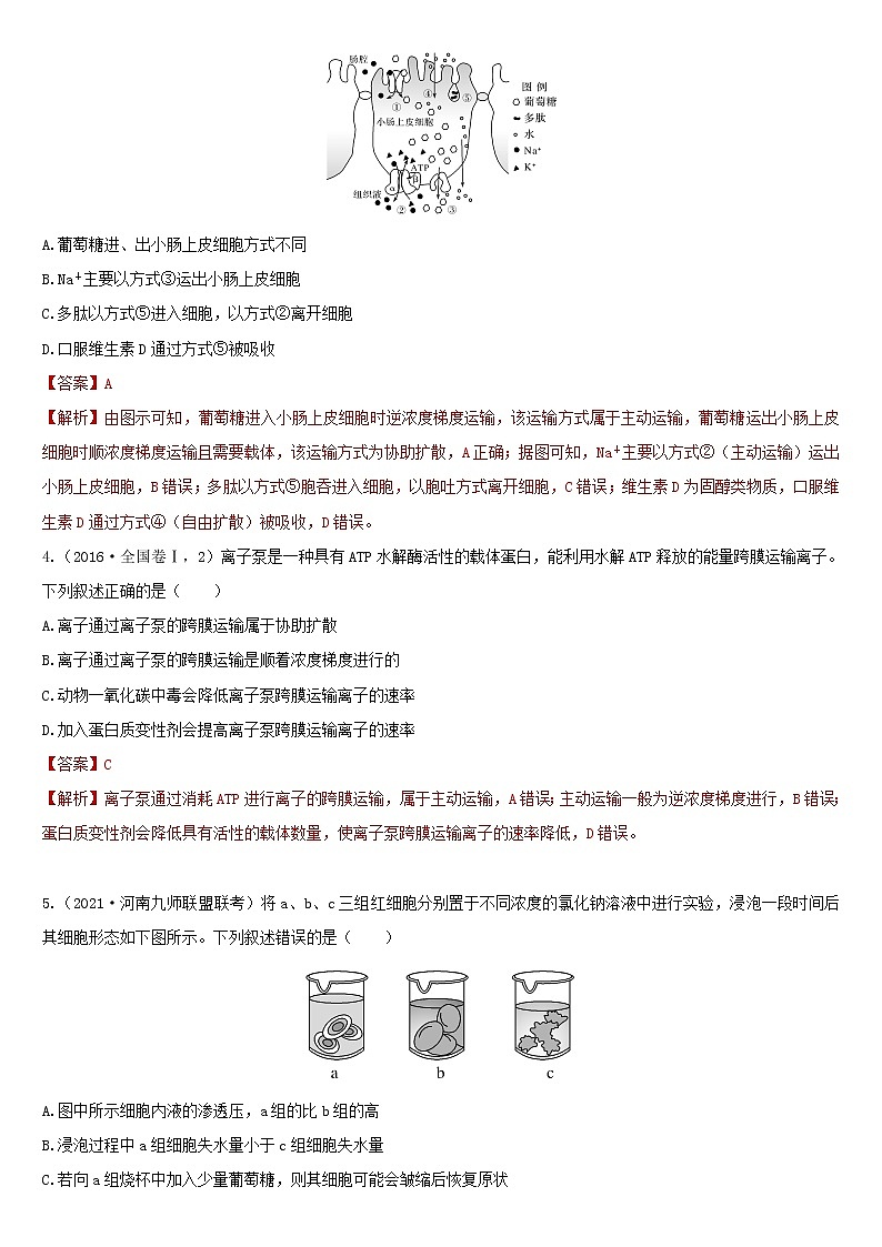 必刷02 细胞内的物质运输(共30题)-【百题大过关】2023年高考生物总复习高频考点+常考题型必刷题（解析版）第2页