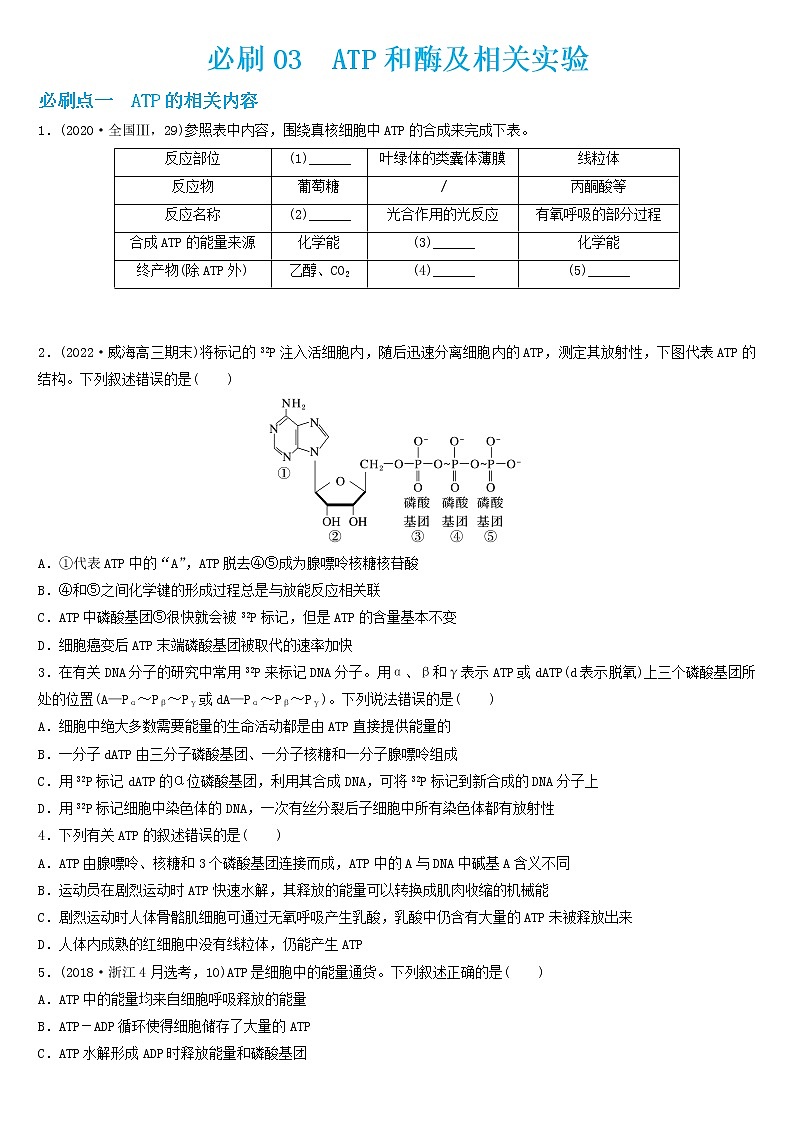 必刷03 ATP和酶及相关实验（共22题）-【百题大过关】2023年高考生物总复习高频考点+常考题型必刷题（原卷版）第1页