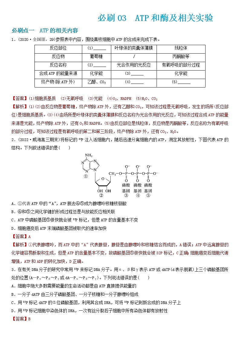 必刷03 ATP和酶及相关实验（共22题）-【百题大过关】2023年高考生物总复习高频考点+常考题型必刷题（解析版）第1页