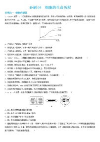 必刷04 细胞的生命历程（共36题）-【百题大过关】2023年高考生物总复习高频考点+常考题型必刷题