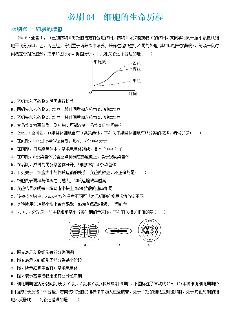 必刷04 细胞的生命历程（共36题）-【百题大过关】2023年高考生物总复习高频考点+常考题型必刷题（原卷版）第1页