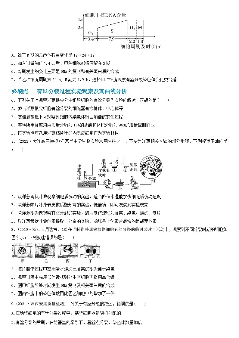 必刷04 细胞的生命历程（共36题）-【百题大过关】2023年高考生物总复习高频考点+常考题型必刷题（原卷版）第2页