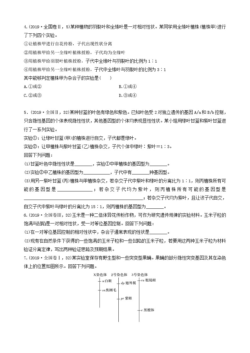 必刷11 遗传的基本规律（共38题）-【百题大过关】2023年高考生物总复习高频考点+常考题型必刷题（原卷版）第2页