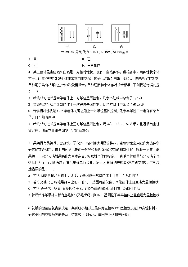 必刷12 遗传探究实验—判断基因的位置（共19题）-【百题大过关】2023年高考生物总复习高频考点+常考题型必刷题（原卷版）第2页