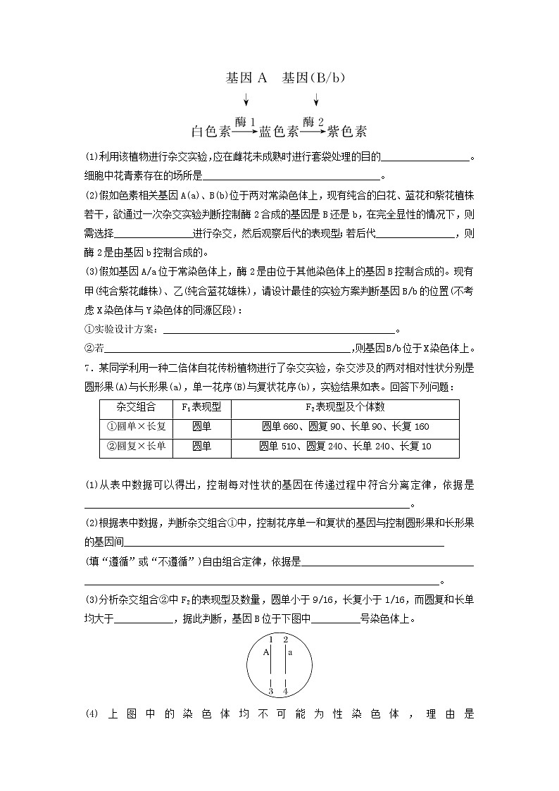 必刷12 遗传探究实验—判断基因的位置（共19题）-【百题大过关】2023年高考生物总复习高频考点+常考题型必刷题（原卷版）第3页