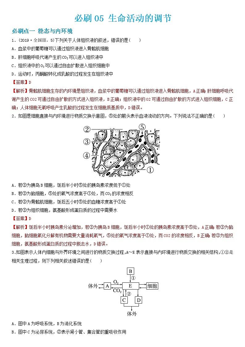 必刷05 生命活动的调节(共35题)-【百题大过关】2023年高考生物总复习高频考点+常考题型必刷题（解析版）第1页