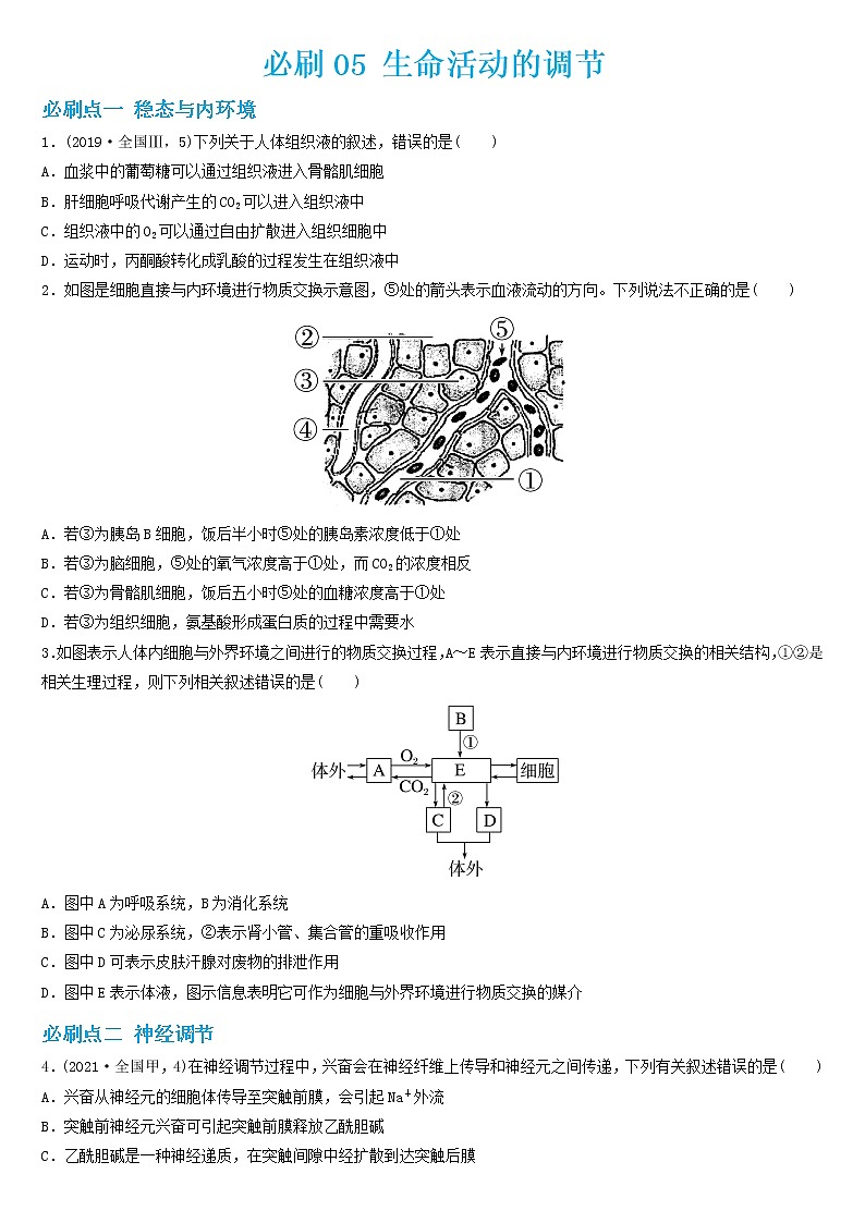 必刷05 生命活动的调节(共35题)-【百题大过关】2023年高考生物总复习高频考点+常考题型必刷题（原卷版）第1页