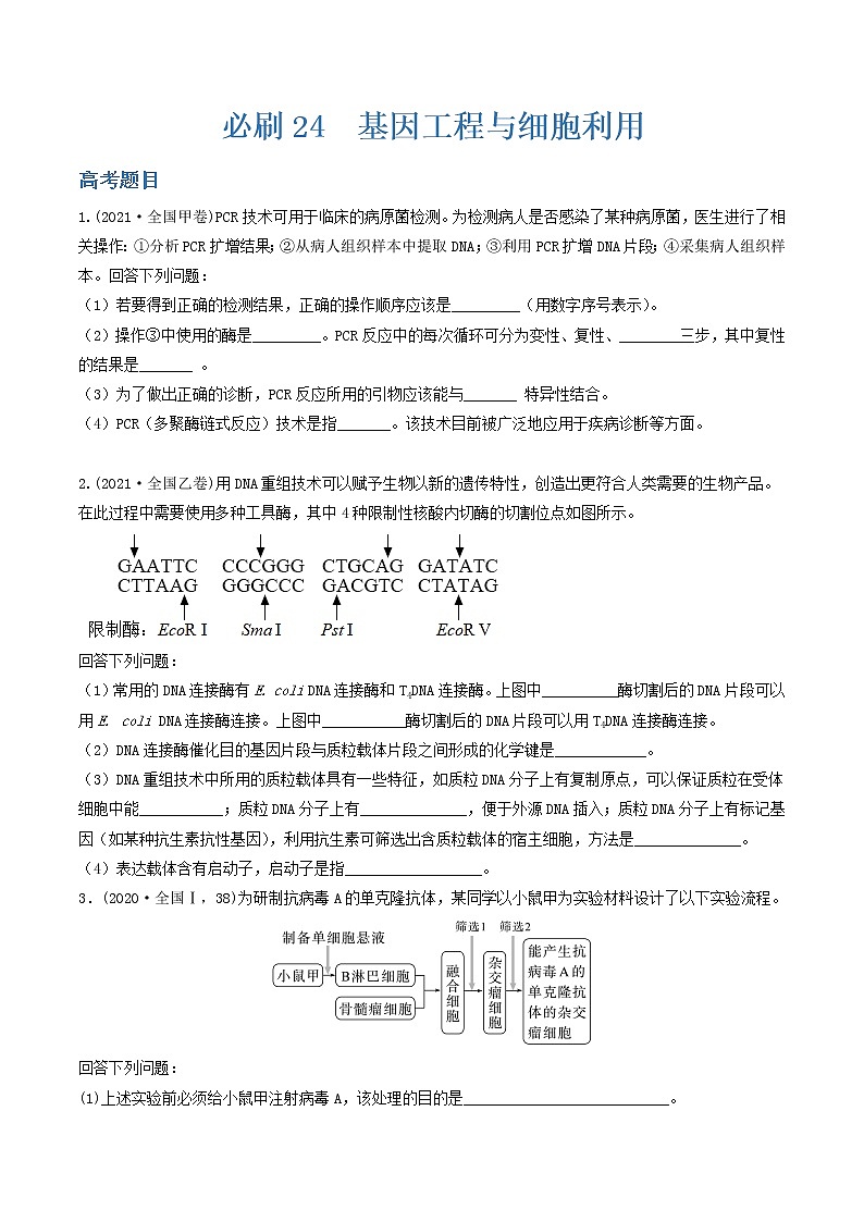 必刷24 基因工程和细胞利用（共30题）-【百题大过关】2023年高考生物总复习高频考点+常考题型必刷题（原卷版）第1页