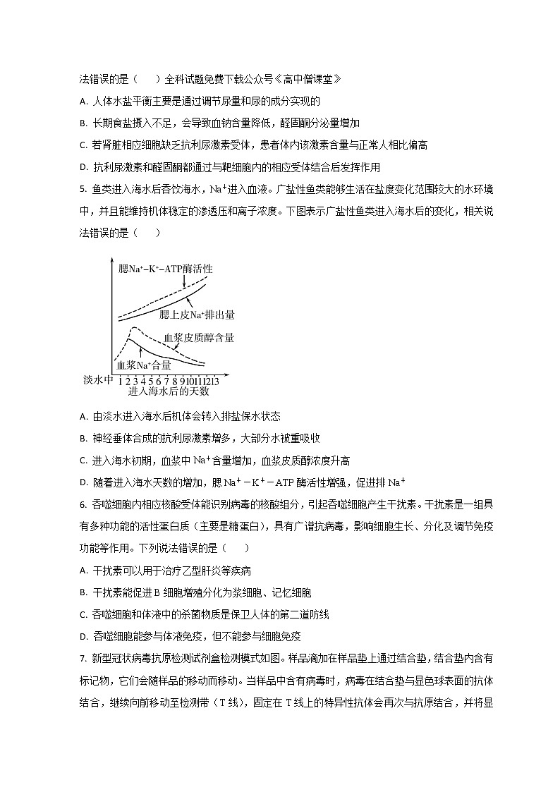 2023潍坊高二上学期期末考试生物试题含答案02