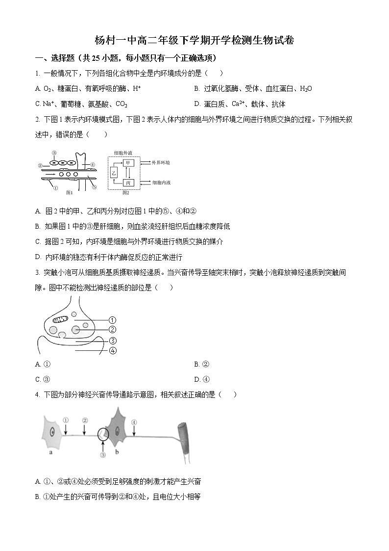 2023天津武清区杨村第一中写高二下学期开学检测生物试题含解析01