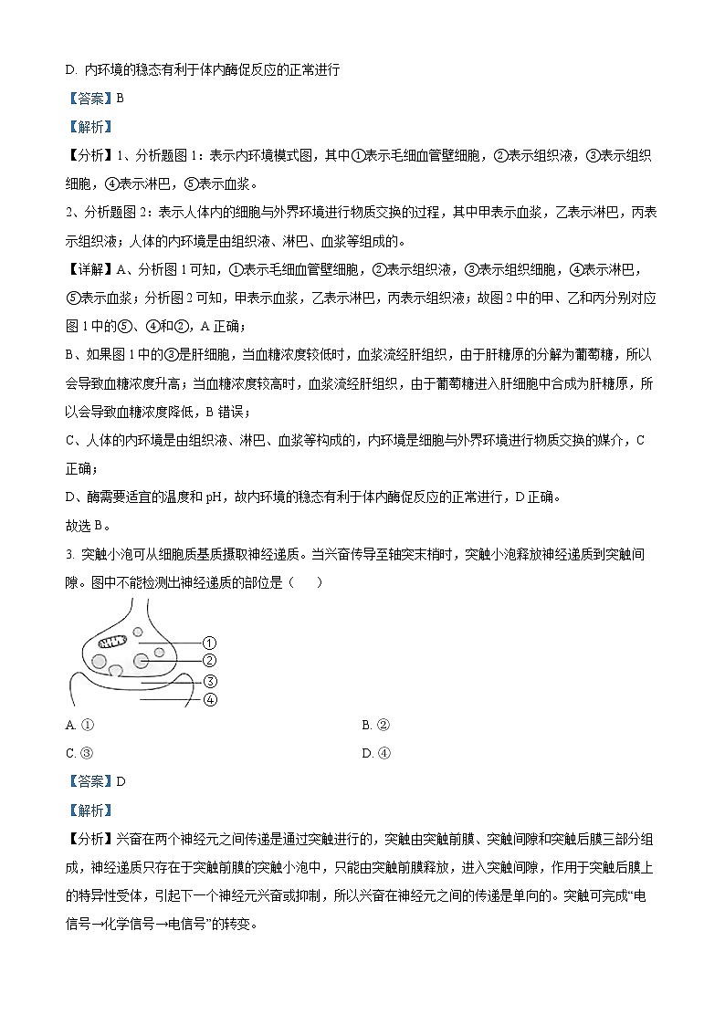 2023天津武清区杨村第一中写高二下学期开学检测生物试题含解析02