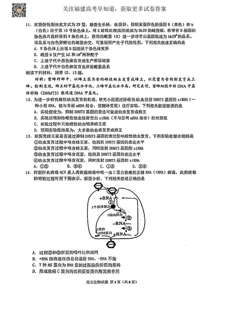 2023届福建省泉州高三二模(生物)试卷及答案03