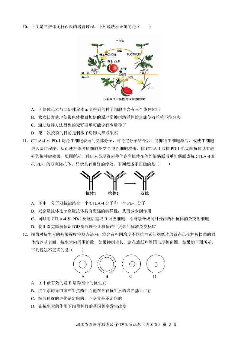 2022-2023学年湖北省高三新高考联考协作体高三上学期期末考试生物试题PDF版含答案03