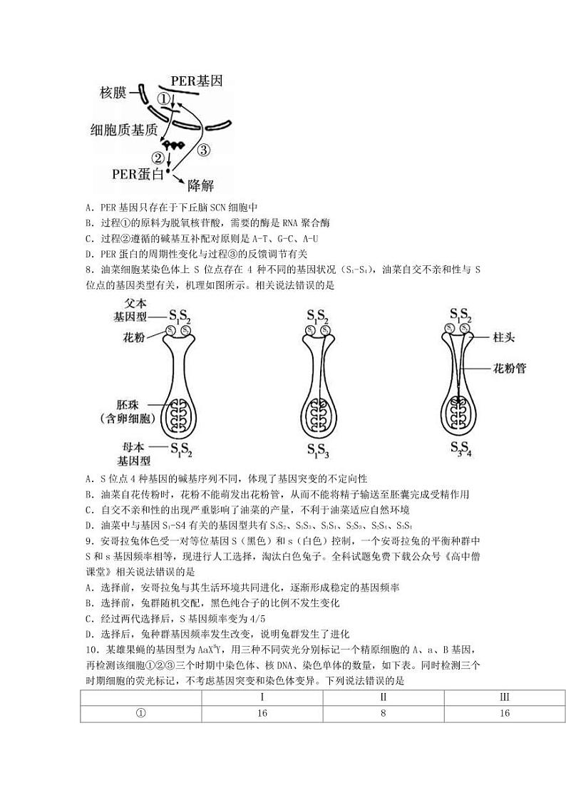 2022-2023学年江苏省南通市如皋市高三上学期期末考试生物试题PDF版含答案第3页