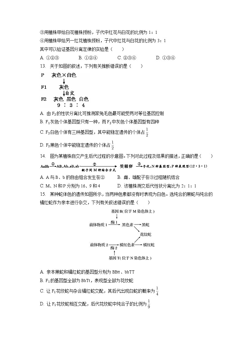 2021-2022学年河北省邯郸市大名一中高一（下）第一次月考生物试卷（含答案解析）第3页