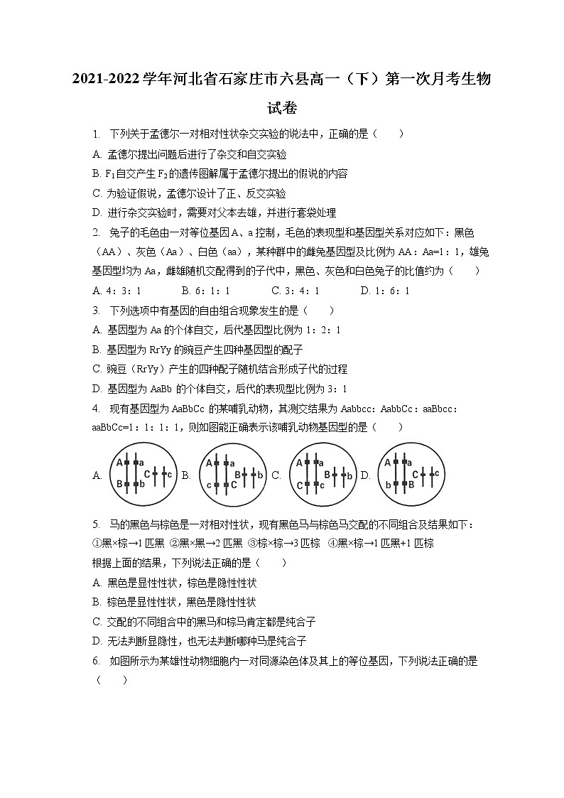 2021-2022学年河北省石家庄市六县高一（下）第一次月考生物试卷（含答案解析）第1页