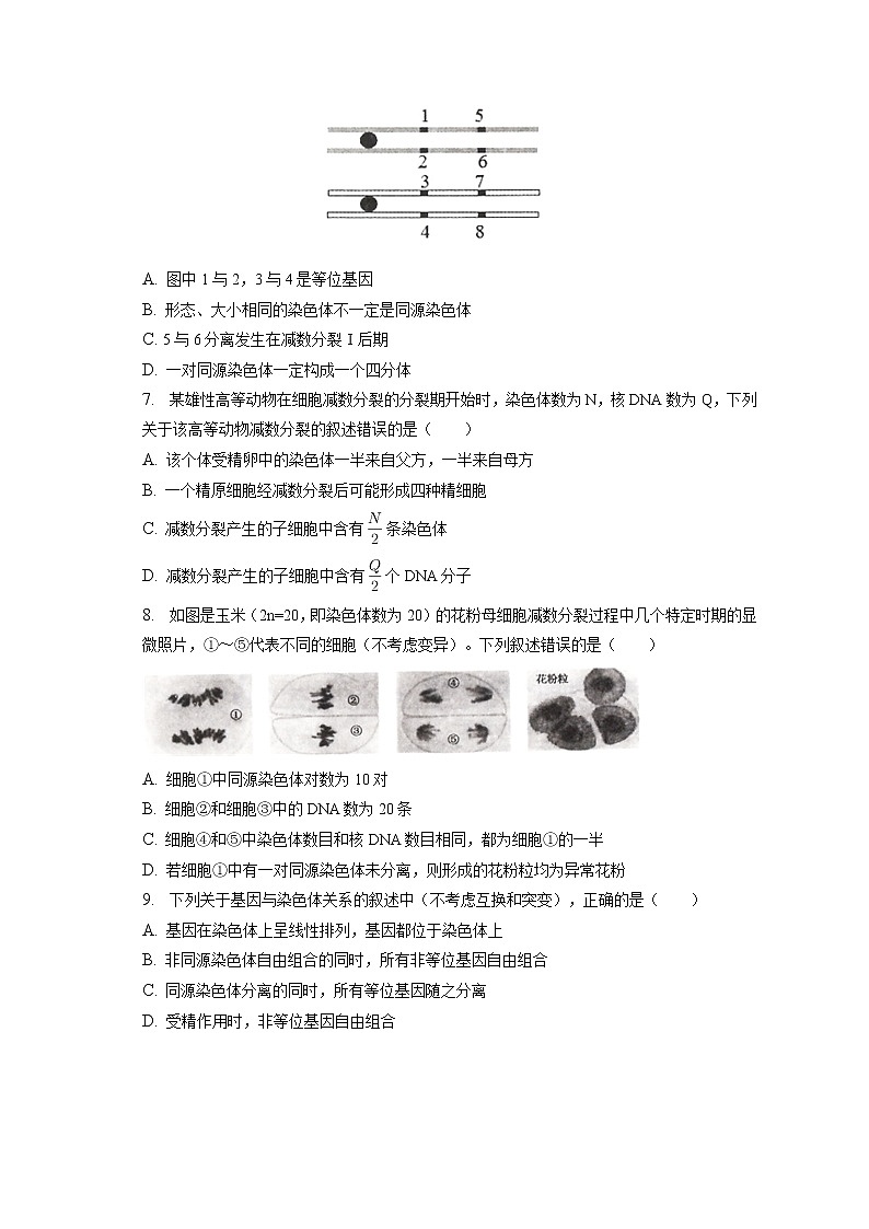 2021-2022学年河北省石家庄市六县高一（下）第一次月考生物试卷（含答案解析）第2页