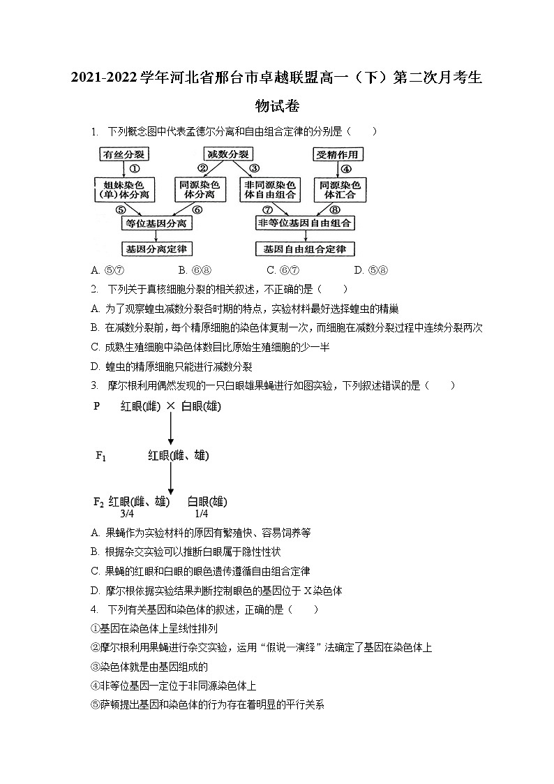 2021-2022学年河北省邢台市卓越联盟高一（下）第二次月考生物试卷（含答案解析）01