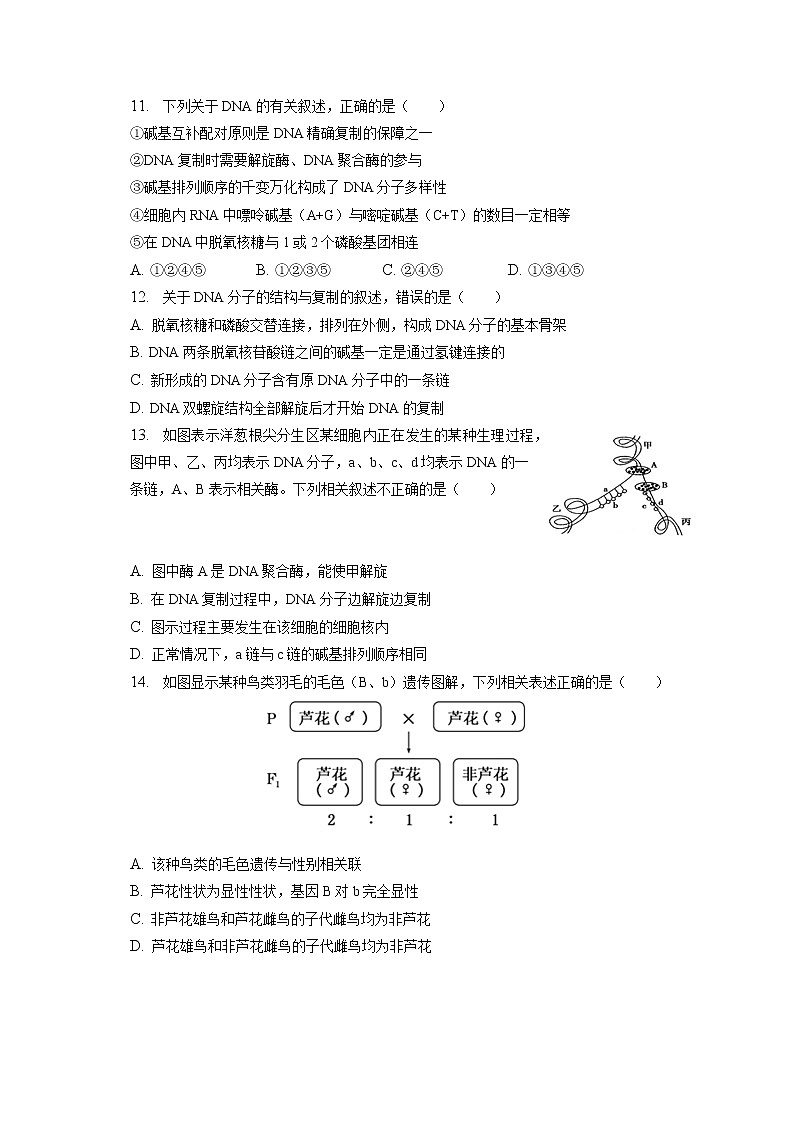 2021-2022学年河北省邢台市卓越联盟高一（下）第二次月考生物试卷（含答案解析）03