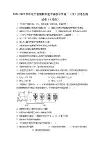 2021-2022学年辽宁省朝阳市建平高级中学高一（下）月考生物试卷（4月份）（含答案解析）