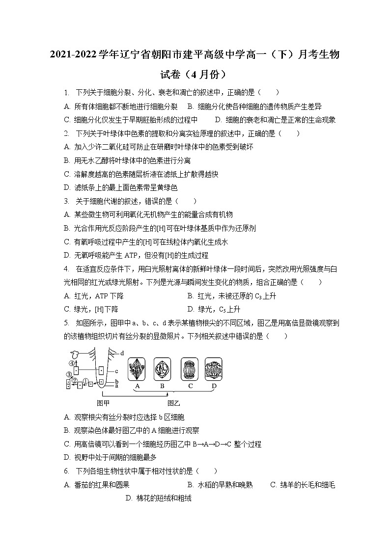 2021-2022学年辽宁省朝阳市建平高级中学高一（下）月考生物试卷（4月份）（含答案解析）01