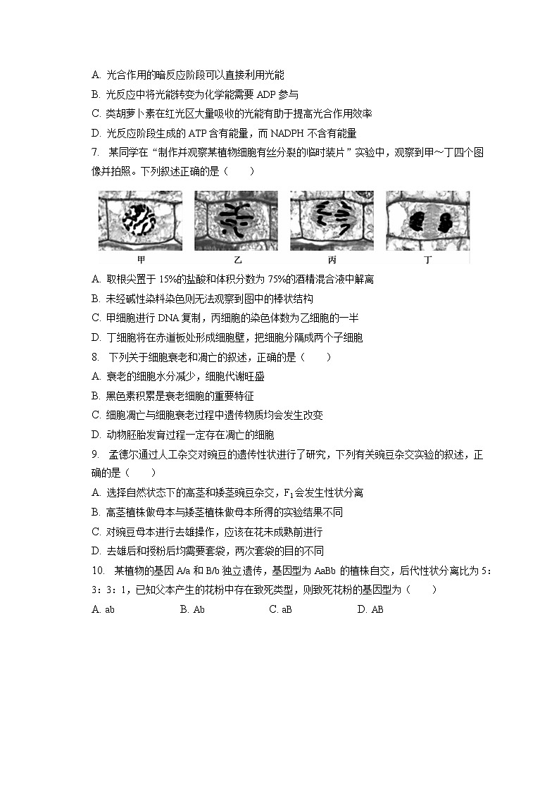2021-2022学年辽宁省朝阳市凌源市高一（下）第二次联考生物试卷（含答案解析）第2页